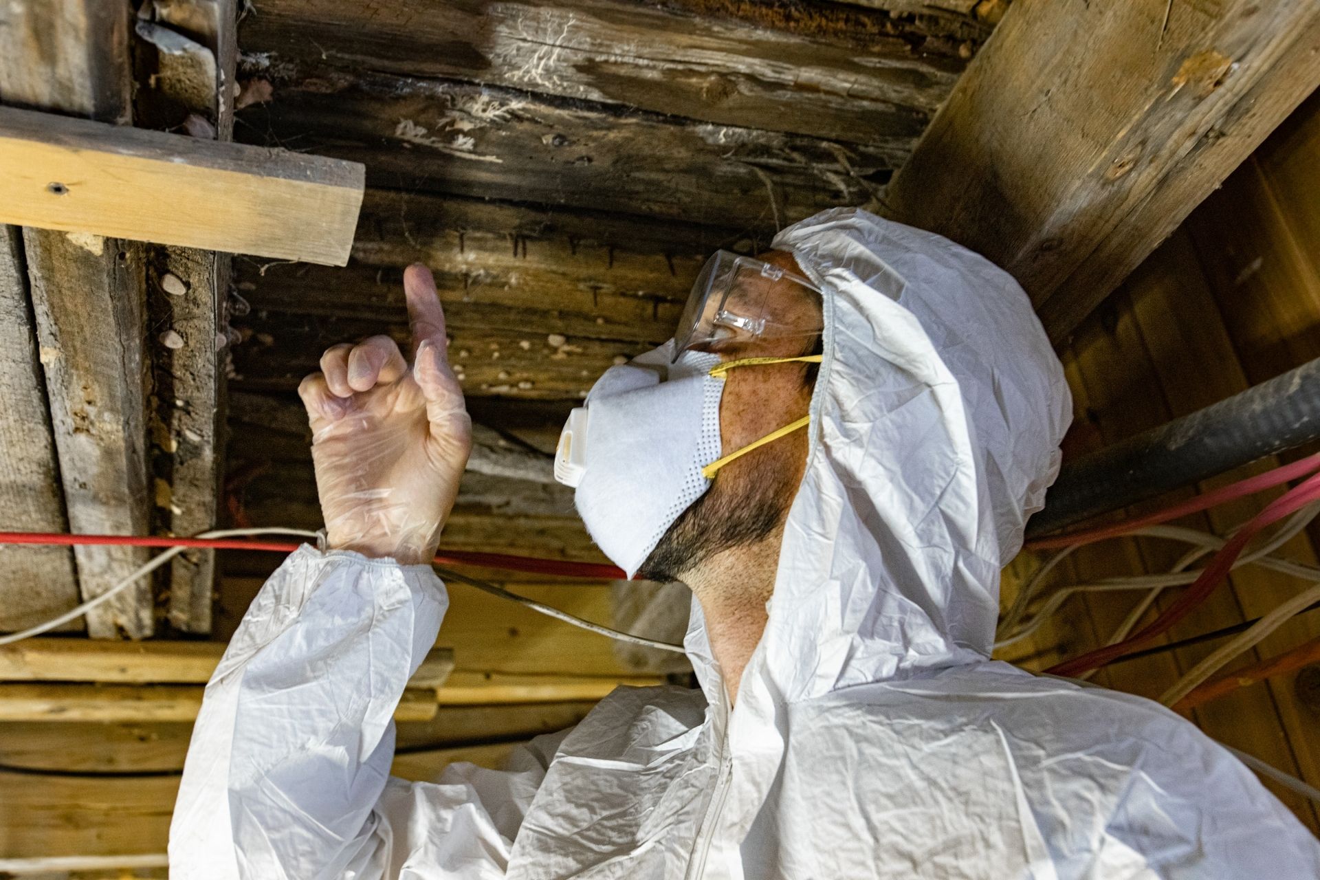 Asbestos Removal, Mold Services, Residential, Commercial, Industrial, Coastal Asbestos Removal, BC